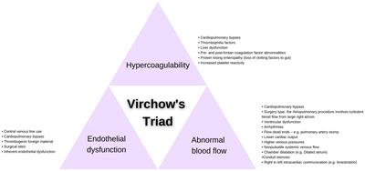 Increased Risk for Thromboembolism After Fontan Surgery: Considerations for Thromboprophylaxis